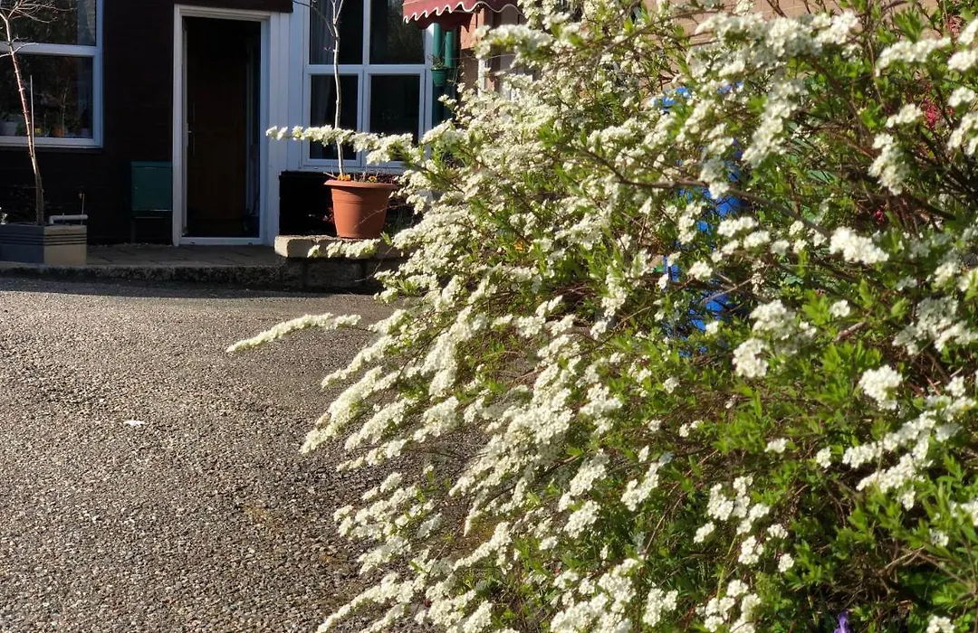 Carisbrooke Guest House-1